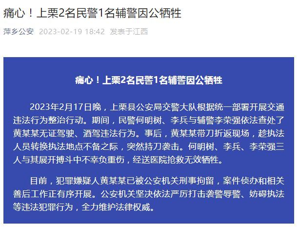 澳门最精准正最精准龙门客栈官网,专家意见解释定义|最佳精选