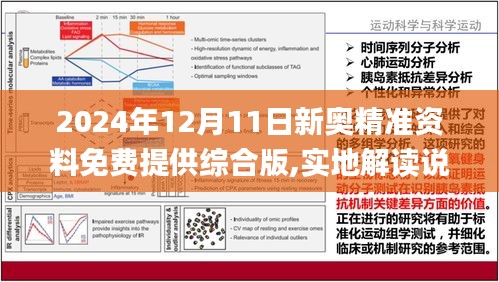 2025精准资料免费提供最新版:精选解释解析落实|最佳精选